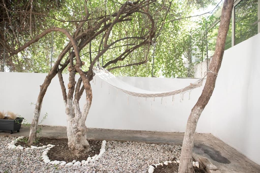 Luxury Studio With Garden Next To Acropolis Атина Екстериор снимка